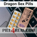 Dragon Sex Pills 304