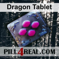 Dragon Tablet 020