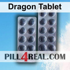 Dragon Tablet 026