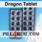 Dragon Tablet 026
