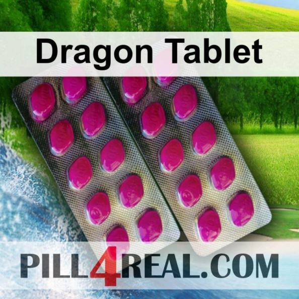 Dragon_Tablet_062.jpg