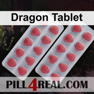 Dragon Tablet 079