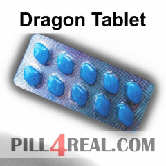 Dragon Tablet 109