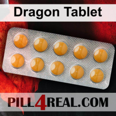 Dragon Tablet 120