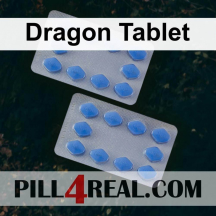 Dragon Tablet 172