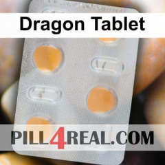 Dragon Tablet 192