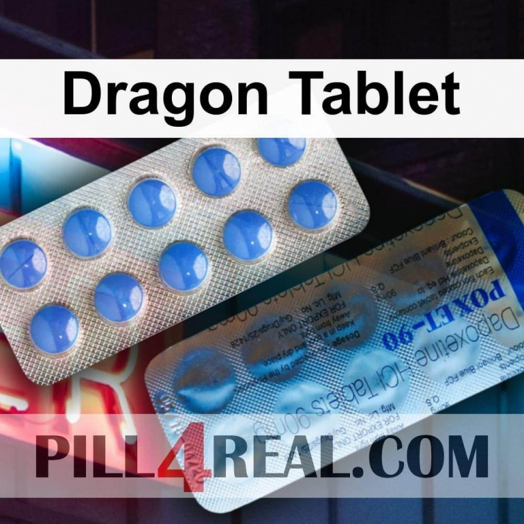 Dragon Tablet 210