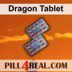 Dragon Tablet 281