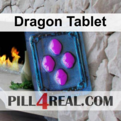Dragon Tablet 298