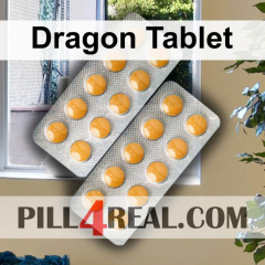 Dragon Tablet 302