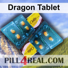 Dragon Tablet 323