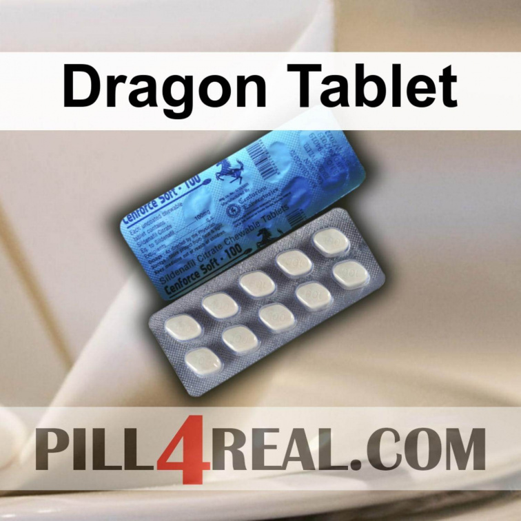 Dragon Tablet 378