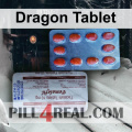 Dragon Tablet 421