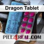 Dragon Tablet 424