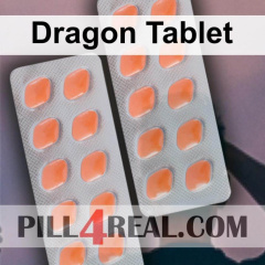Dragon Tablet 485