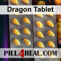 Dragon Tablet 500