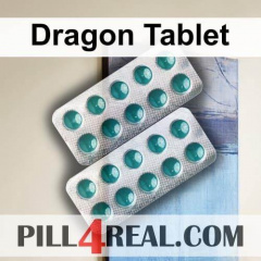 Dragon Tablet 516
