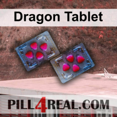 Dragon Tablet 679