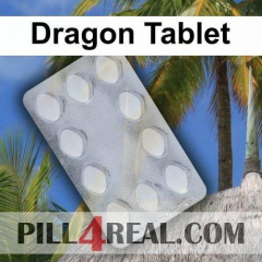 Dragon Tablet 744