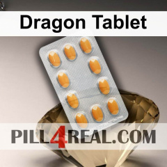 Dragon Tablet 778