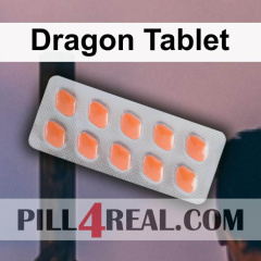 Dragon Tablet 817