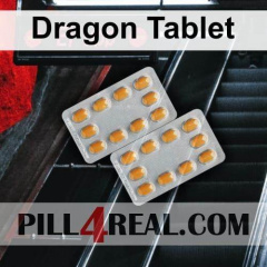 Dragon Tablet 849