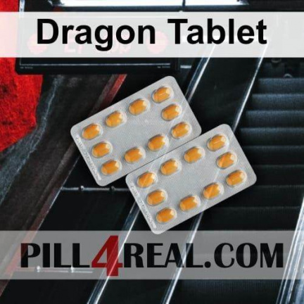 Dragon Tablet 849