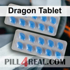 Dragon Tablet 964