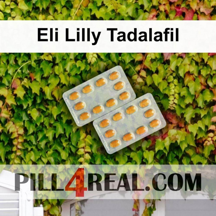 Eli Lilly Tadalafil 440