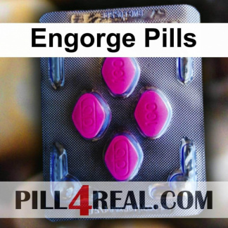 Engorge Pills 061