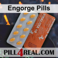 Engorge Pills 080