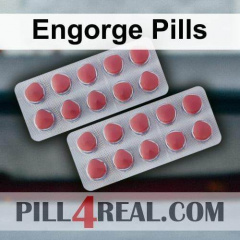 Engorge Pills 109