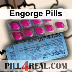 Engorge Pills 120