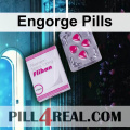 Engorge Pills 137