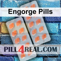 Engorge Pills 216