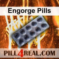 Engorge Pills 254