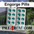 Engorge Pills 287