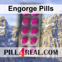 Engorge Pills 288