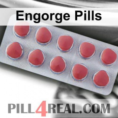 Engorge Pills 305