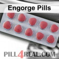 Engorge Pills 305