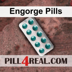 Engorge Pills 314