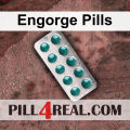 Engorge Pills 314
