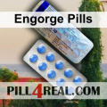 Engorge Pills 316