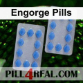 Engorge Pills 335