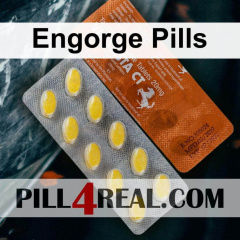 Engorge Pills 355