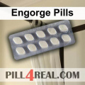 Engorge Pills 366