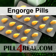 Engorge Pills 436