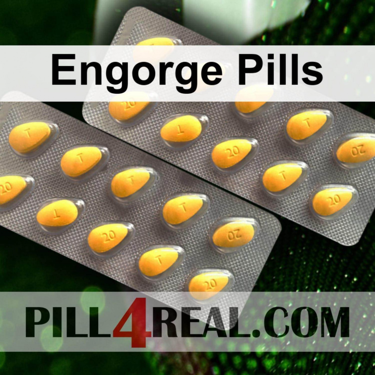 Engorge Pills 436