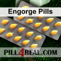 Engorge Pills 436