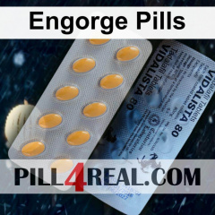 Engorge Pills 438